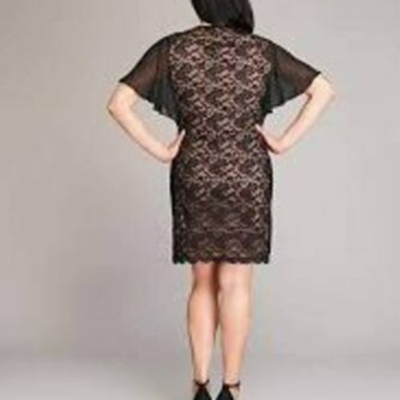 #10❤️ (78) NEW CONNECTED ISABELLE SCALLOPED LACE DRESS - Picture 2 of 6